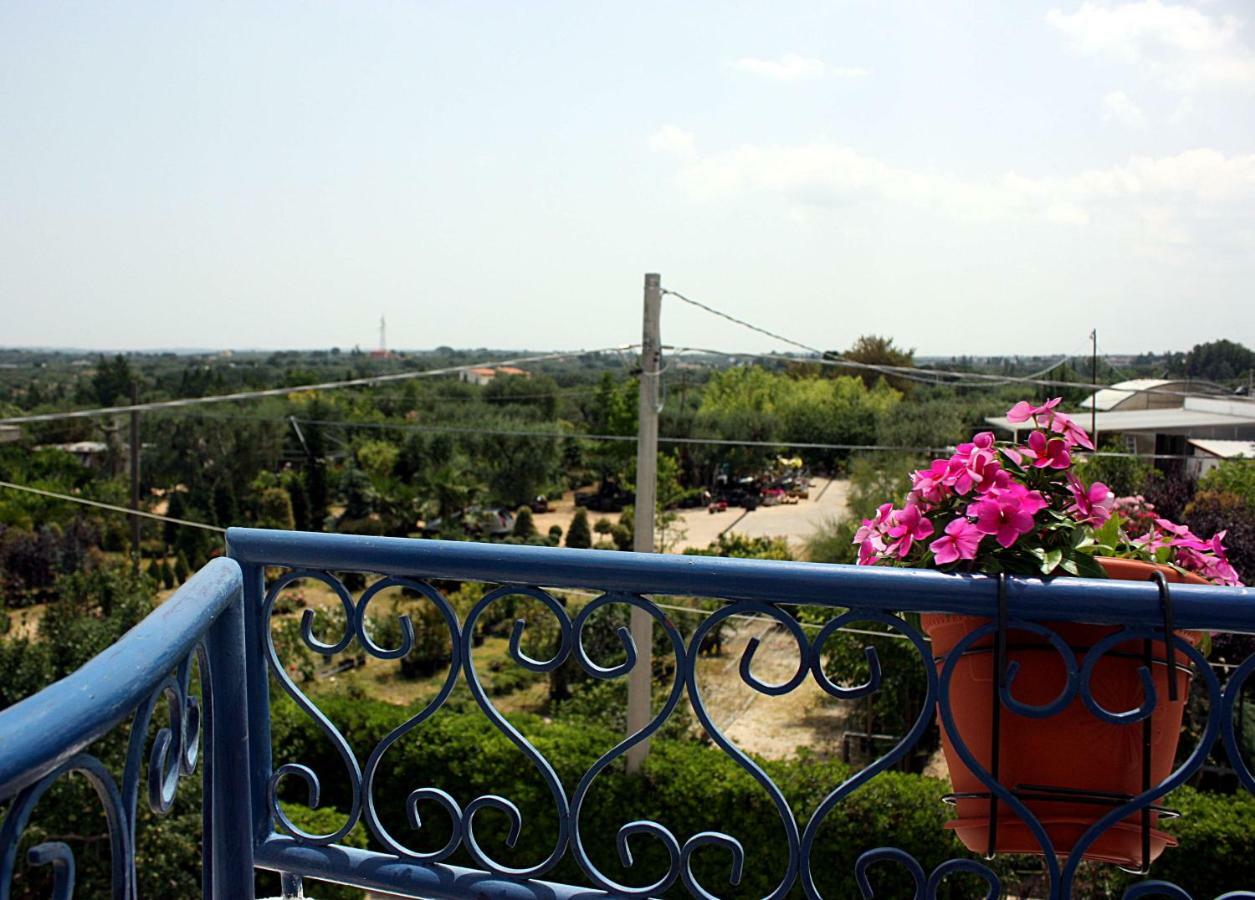 Patty Green House Castellana Grotte Bagian luar foto