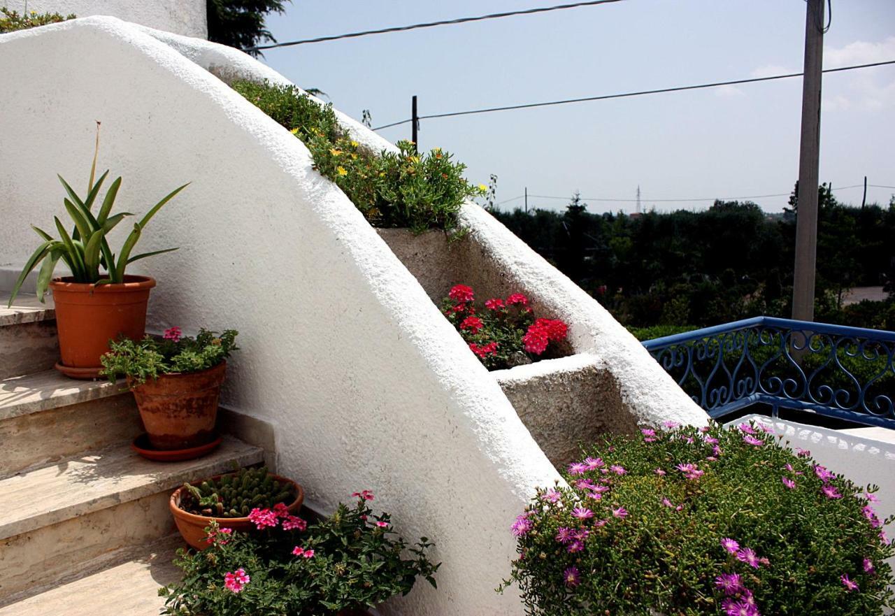 Patty Green House Castellana Grotte Bagian luar foto
